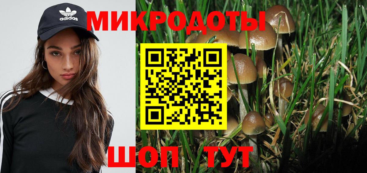 Назарово  Псилоцибиновые грибы MAGIC MUSHROOMS  Вход с VPN 