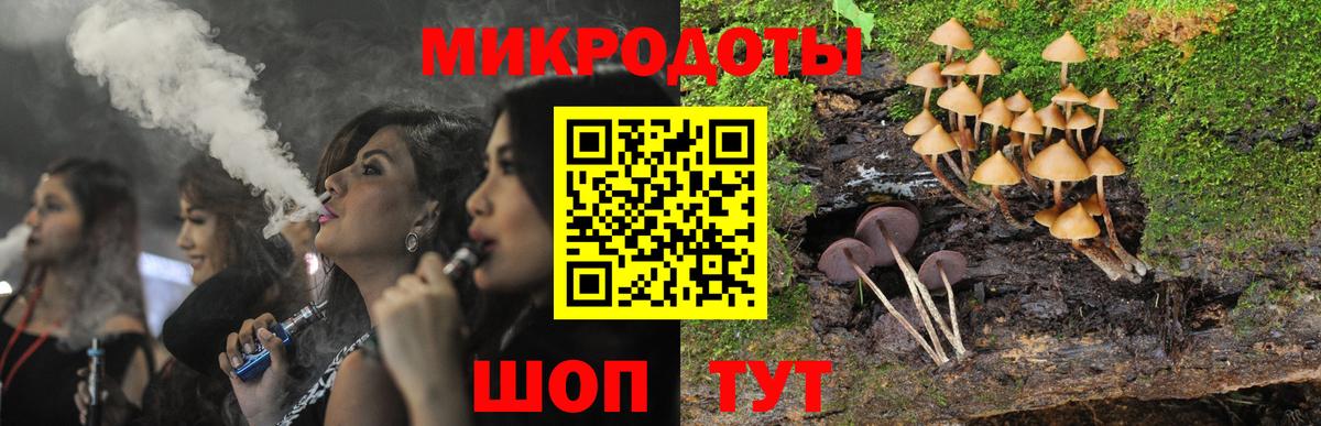 Псилоцибиновые грибы Cubensis Назарово